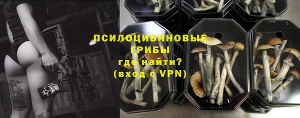 apvp Аркадак